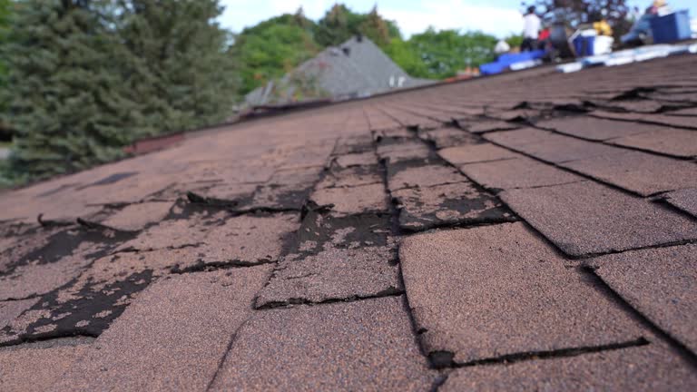 Reliable Olympia Fields, IL Roofing Service Solutions
